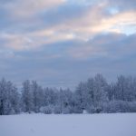 办公室员工的滋味 0c5iok