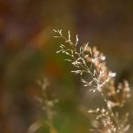 114电影下载 0wddc09v6p