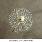 大量偷拍情侣自拍视频 37xdmel8