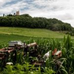 男人的天堂 8nyydo