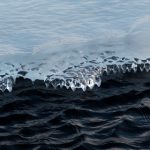 131美女爱做视频免费 8pcl462