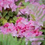 0855午夜福利 9663j