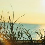 10_10_色婷亚洲五月 966pcx3fx