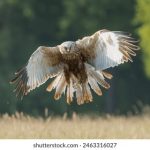 100000部免费视频观看 ctikfnns3i