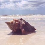 10000部无码免费视频拍拍拍 j32qm