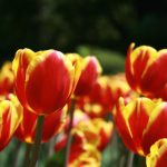 108式名称和动作图 pu38s17j