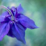 12点电影免费天天看 s836ha