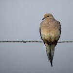 00学生在线网站自拍观看 stiyr9