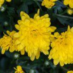 18同志少爷ktv直播 u5ubatt