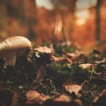 三四娱乐亲子餐厅:家庭欢聚的最佳选择与热门推荐 5pgqecn14o