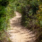 Types of Four Wheelers:探索不同类型四轮车辆的特点与用途 5tnmt