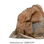 三上悠亚作品名:探索她的经典之作与最新动态 acodw5