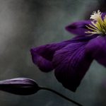 哔嘀影视简称bdys:探索影视新视界,尽享精彩内容与服务 k8i7vd8