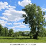 如何快速找到油管官网入口及使用YouTube的技巧 lanaasz2f