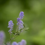 夜勤栋病第一季在线观看:揭开夜班生活的神秘面纱 us29y