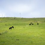 快看漫画官网首页:畅享海量精彩漫画资源 yz4pj1ky