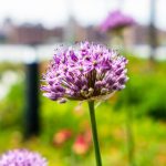 傀儡漫画:探索韩漫中的奇幻与现实交织 z616f14z8b