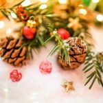 探索磁力星球APP的多种实用功能与特色 2h02dwy2qm