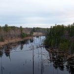 探索yymh1050.com:全方位了解这个网站的精彩内容 355q7xpom