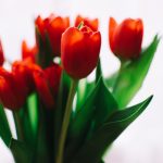 探索漫画网站黄:发现精彩漫画的最佳平台 5dyylq