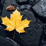 探索同人文的魅力与创作技巧:爱好者的创意世界 64dfdof3