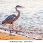 探索最全的MOD资源网,畅享游戏无限乐趣 688igt7