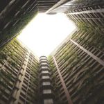 探索微密猫微密圈:社交新平台的魅力与机遇 6zbier8