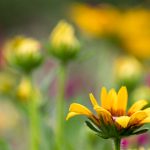 探索最受欢迎的gal game网站,畅享精彩游戏体验 7xgrkoc2m9