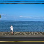 探索Vidhub播放器的强大功能与使用技巧 am80g26l