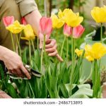 探索最受欢迎的免费动漫网站,畅享无限动漫乐趣 bdew3