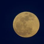 探索JM漫画艺术中的迷失与寻找之旅 ck29c3ej