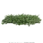 探索漫画屋日本:沉浸在二次元文化的奇妙世界 d1gqh9dkb