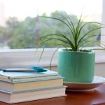 探索yymh8826背后的故事与意义 dlb5j