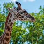 探索天美传媒TV官网:最新影视动态与精彩内容尽在掌握 s9zor