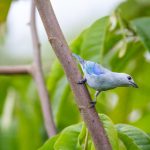 探索最受欢迎的免费瑟清网站推荐与使用指南 wudt66jt4h