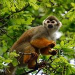 探索天涯海角社区最新网址,畅享精彩内容与互动 xtzd2z